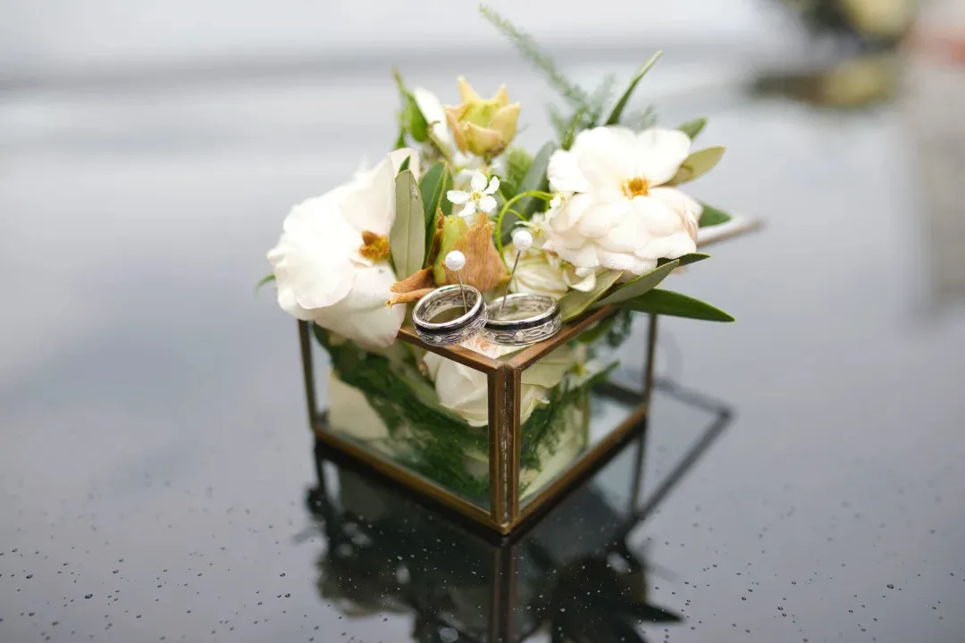 Steve Photography – JPEG Bild 166 ergebnis